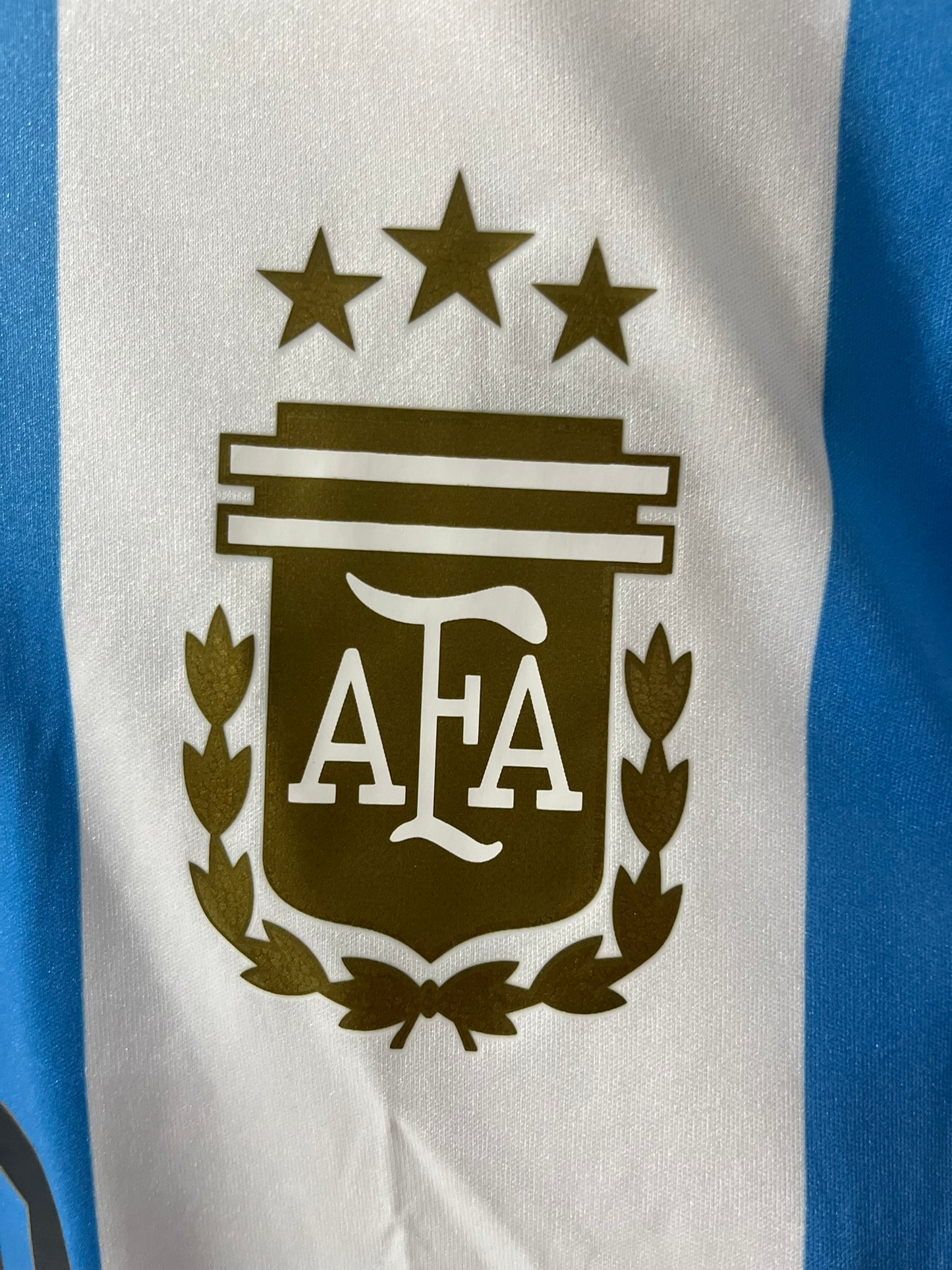 Messi, Argentina Home 2024/25